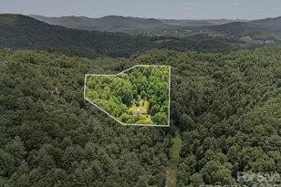 528 Baccus Siding Rd, Green Mountain, NC 28740 - Photo 29