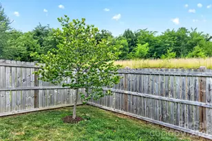 22 Tudor Way, Black Mountain, NC 28711 - Photo 45