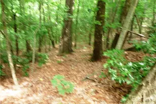 360 Kenmure Dr, Flat Rock, NC 28731 - Photo 1