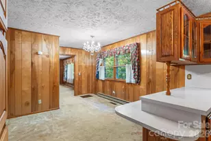 215 N Fork River Rd, Marion, NC 28752 - Photo 13