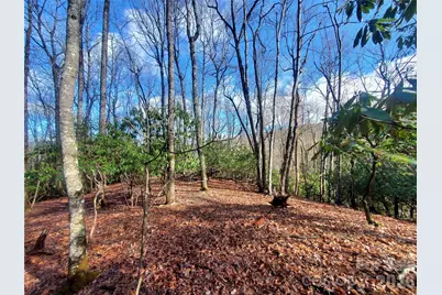 Tbd Skye Drive #803a & 803b, Pisgah Forest, NC 28768 - Photo 3