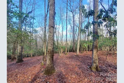Tbd Skye Drive #803a & 803b, Pisgah Forest, NC 28768 - Photo 5
