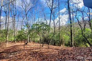 Tbd Skye Dr, Pisgah Forest, NC 28768 - Photo 1