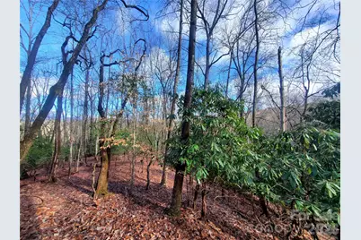 Tbd Skye Drive #803a & 803b, Pisgah Forest, NC 28768 - Photo 9