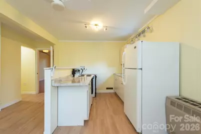 223 Davidson Road, Swannanoa, NC 28778 - Photo 33