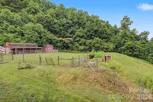 340 Earlys Mountain Rd, Leicester, NC 28748 - Photo 27