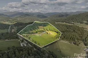1372 & 1370 Barnardsville Hwy, Barnardsville, NC 28709 - Photo 47
