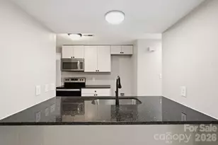 3719 Piney Grove Rd, Charlotte, NC 28212 - Photo 9