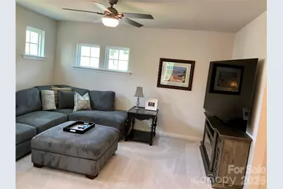199 Hamptons Cove Road, Troutman, NC 28166 - Photo 13