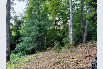 251 Cox Road, Pisgah Forest, NC 28768 - Photo 9