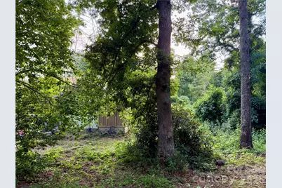 251 Cox Road, Pisgah Forest, NC 28768 - Photo 7