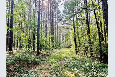 000 Butler Mill Road, Harmony, NC 28634 - Photo 15