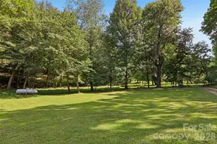 611 Reeves Cove Rd, Candler, NC 28715 - Photo 39