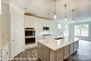 4014 Cedar Fls Dr, Waxhaw, NC 28173 - Photo 11