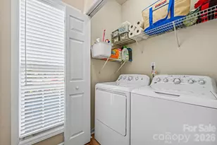 5338 Silabert Ave, Charlotte, NC 28205 - Photo 15