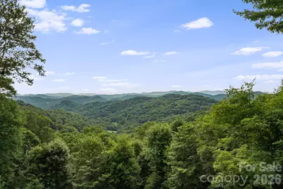 692 McKinney Gap Drive, Mars Hill, NC 28754 - Photo 37