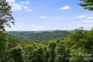 692 McKinney Gap Dr, Mars Hill, NC 28754 - Photo 37