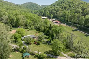 7 Lula Cove Rd, Weaverville, NC 28787 - Photo 43