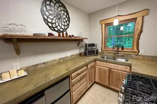 700 Norton Fork Rd, Hot Springs, NC 28743 - Photo 13