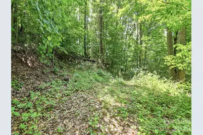 252 Big Stomp Road, Waynesville, NC 28786 - Photo 47