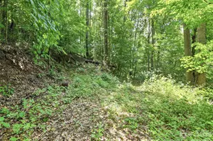 252 Big Stomp Rd, Waynesville, NC 28786 - Photo 47