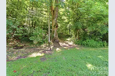 252 Big Stomp Road, Waynesville, NC 28786 - Photo 45