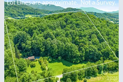 252 Big Stomp Road, Waynesville, NC 28786 - Photo 7