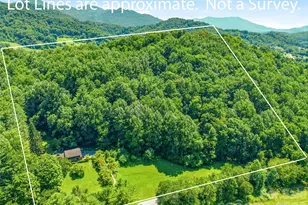 252 Big Stomp Rd, Waynesville, NC 28786 - Photo 7
