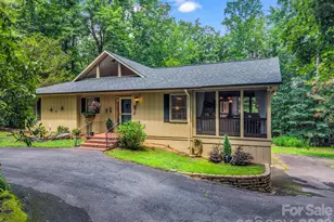 390 Mountain Laurel Dr, Columbus, NC 28722 - Photo 3
