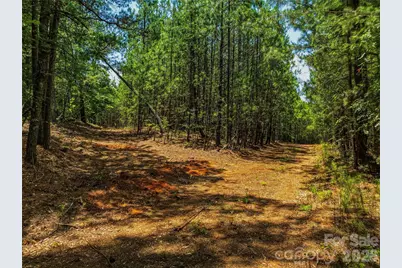 6783 Peniel Road, Tryon, NC 28782 - Photo 7