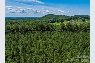 6783 Peniel Road, Tryon, NC 28782 - Photo 31