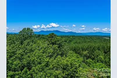 6783 Peniel Road, Tryon, NC 28782 - Photo 15