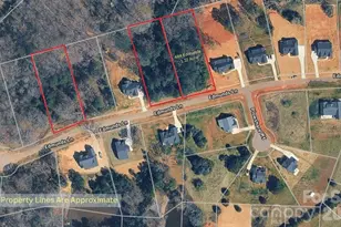 484 Edmunds Ln, Clover, SC 29710 - Photo 3