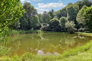 251 Village Ln, Mars Hill, NC 28754 - Photo 45
