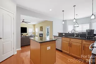 15320 Edgewater Forest Ln, Charlotte, NC 28278 - Photo 11