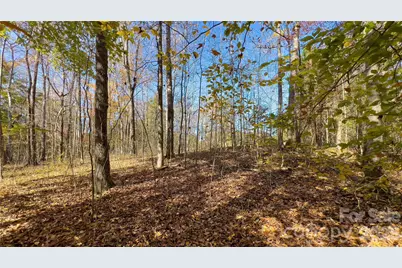 1120 Bearwick Court, Woodleaf, NC 27054 - Photo 41
