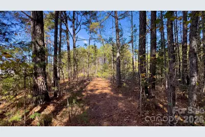 1120 Bearwick Court, Woodleaf, NC 27054 - Photo 21