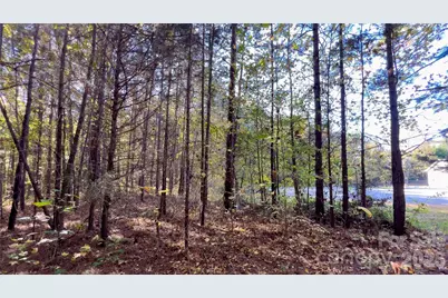1120 Bearwick Court, Woodleaf, NC 27054 - Photo 19