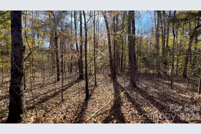 1120 Bearwick Court, Woodleaf, NC 27054 - Photo 39