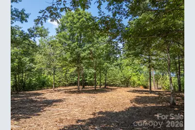 00 Doveridge Drive #66, Columbus, NC 28722 - Photo 11