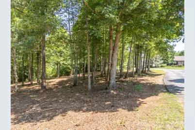 00 Doveridge Drive #66, Columbus, NC 28722 - Photo 17