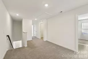 9028 Foggy Brook Loop, Charlotte, NC 28216 - Photo 11