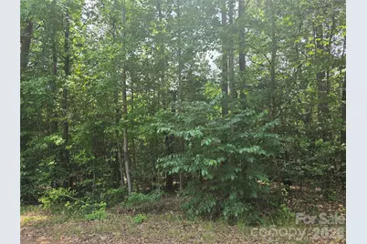 385 Dennis Road, Troy, NC 27371 - Photo 3