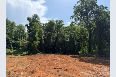 00 Bill Collins Road, Columbus, NC 28722 - Photo 5