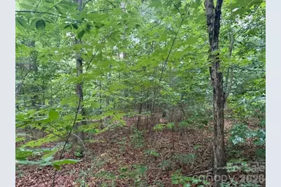 00 Bill Collins Road, Columbus, NC 28722 - Photo 3