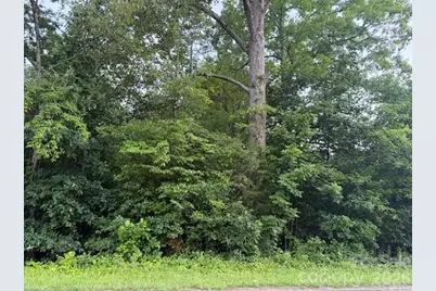 00 Bill Collins Road, Columbus, NC 28722 - Photo 15