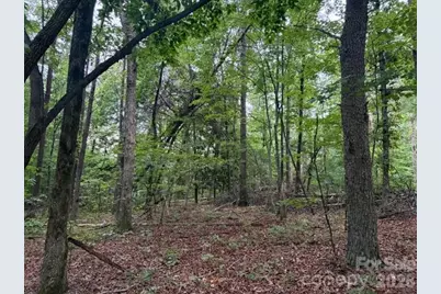 00 Bill Collins Road, Columbus, NC 28722 - Photo 7