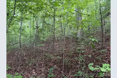 00 Bill Collins Road, Columbus, NC 28722 - Photo 11