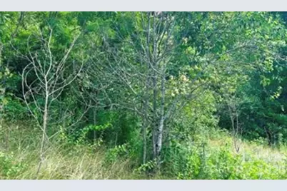 00 Split Pine Cove, Clyde, NC 28721 - Photo 3