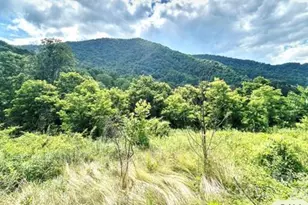 00 Split Pine Cove, Clyde, NC 28721 - Photo 1